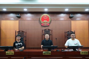 司法公開新窗口 第111次公眾開放日,青島聯(lián)信商務(wù)咨詢哈爾濱分公司走進(jìn)南崗區(qū)法院